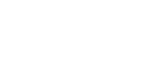 Adamsons Logo