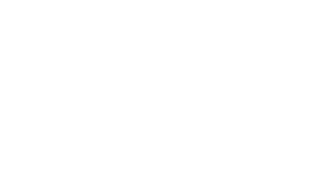 Brissi Logo