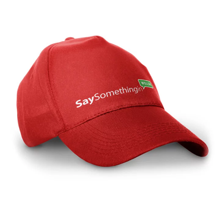 SaySomethingin branded baseball cap