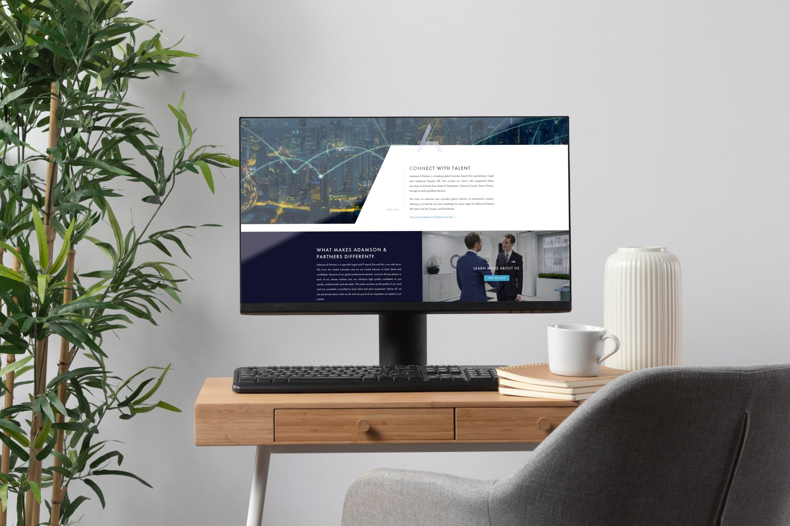 Adamson and partners website