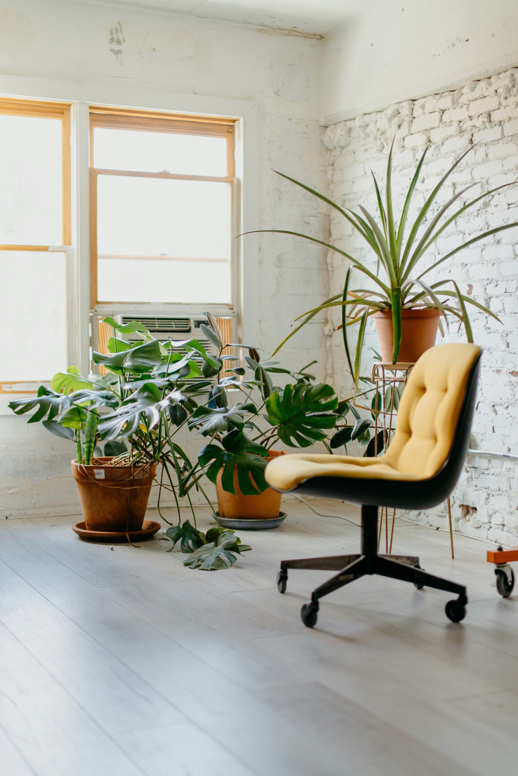 empty white office with yellow chair surrounded by plants