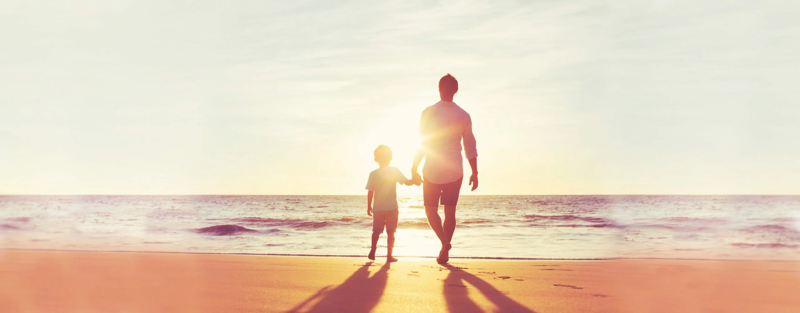 Evolution of a website… the success of Future Proof Insurance