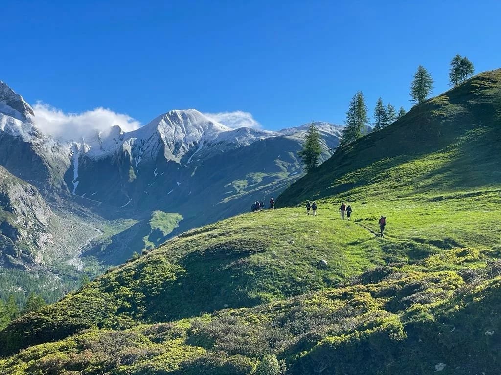 group of people walking on a hill
