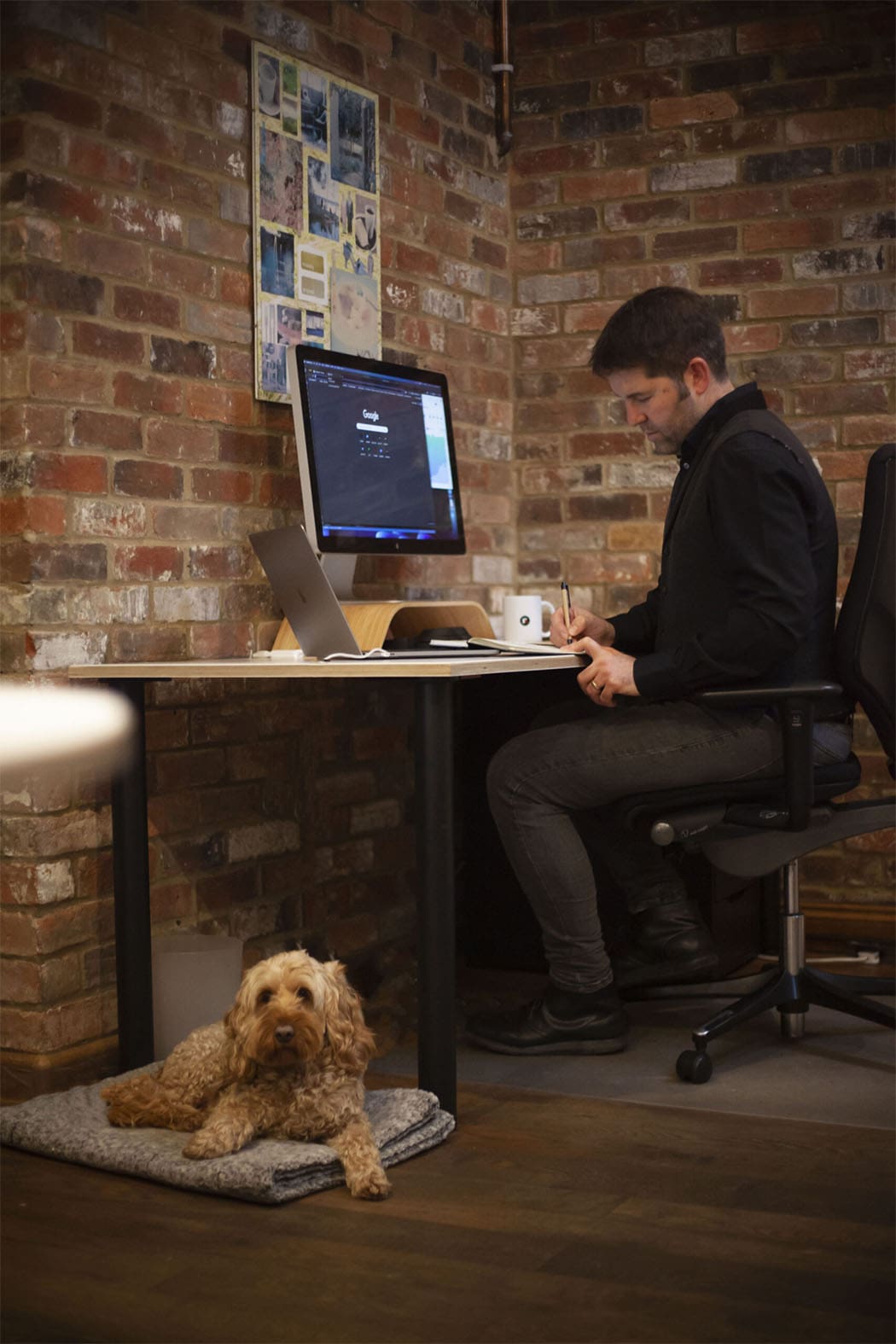 Matt and web application development